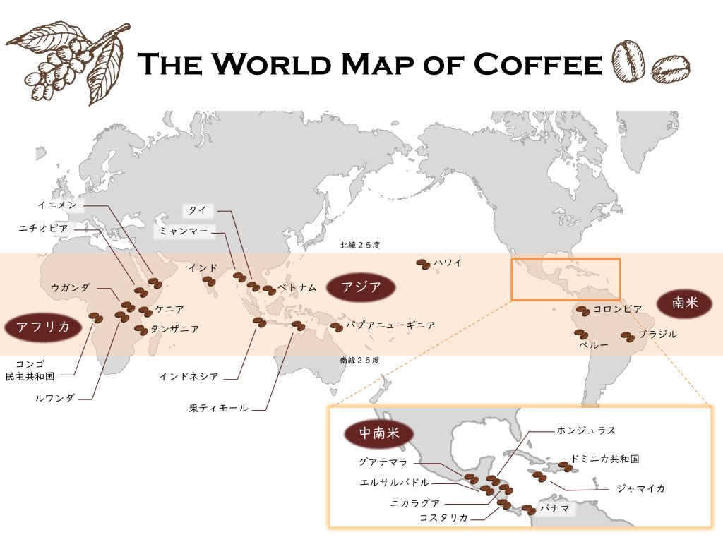 コーヒーベルトとは